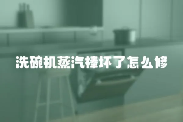 洗碗機蒸汽棒壞了怎么修