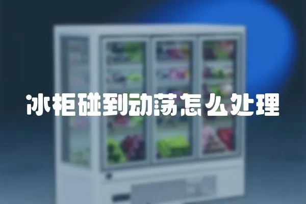 冰柜碰到動蕩怎么處理