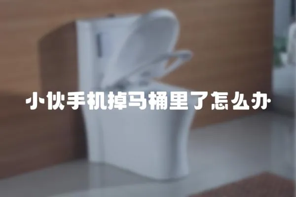 小伙手機掉馬桶里了怎么辦