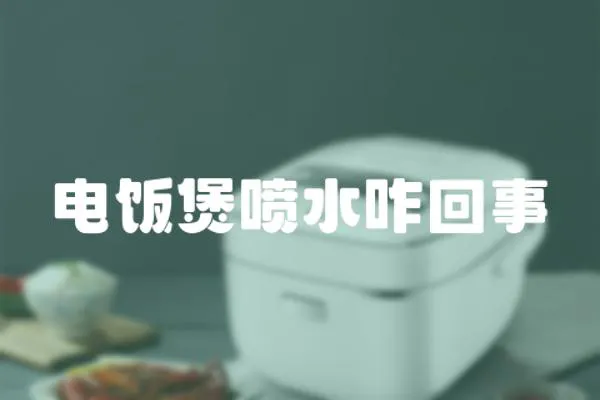 電飯煲噴水咋回事