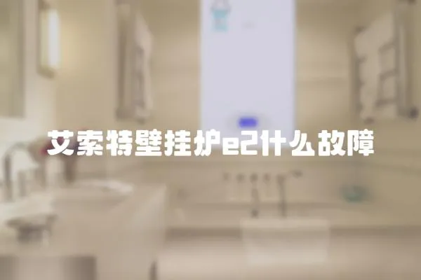 艾索特壁掛爐e2什么故障