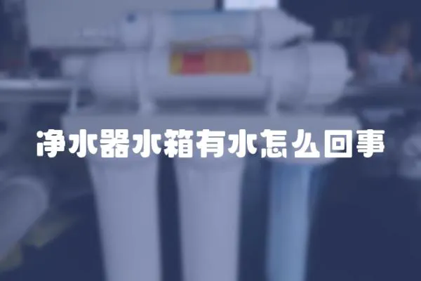 凈水器水箱有水怎么回事