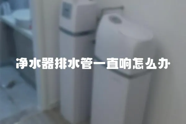 凈水器排水管一直響怎么辦