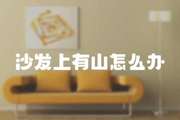 沙發上有山怎么辦