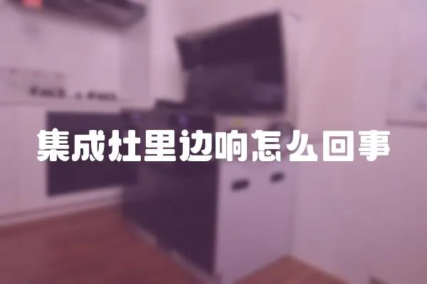 集成灶里邊響怎么回事
