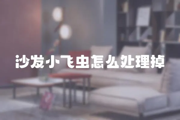 沙發小飛蟲怎么處理掉