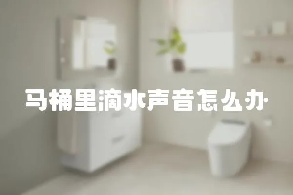 馬桶里滴水聲音怎么辦