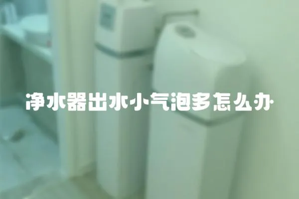 凈水器出水小氣泡多怎么辦