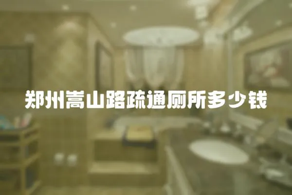 鄭州嵩山路疏通廁所多少錢