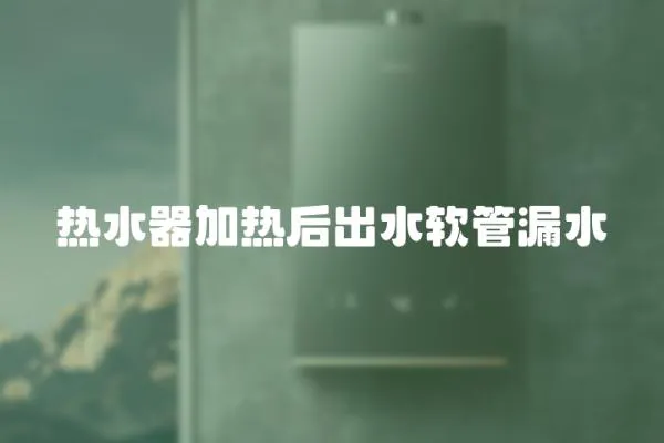 熱水器加熱后出水軟管漏水