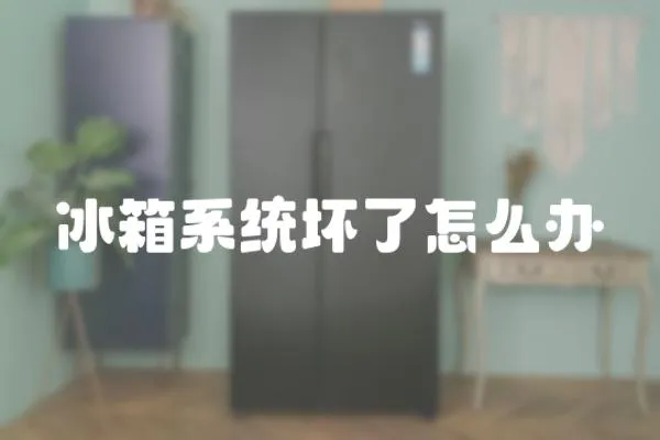 冰箱系統壞了怎么辦