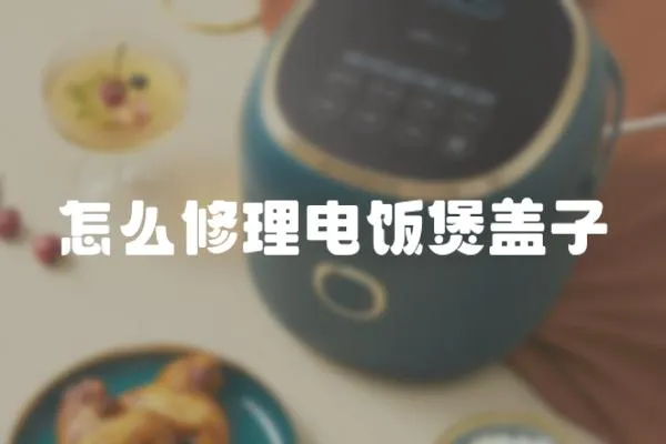 怎么修理電飯煲蓋子