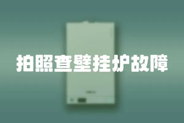 拍照查壁掛爐故障