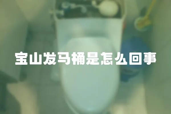 寶山發馬桶是怎么回事