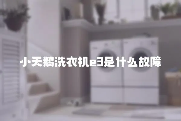 小天鵝洗衣機e3是什么故障