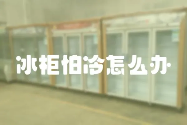 冰柜怕冷怎么辦