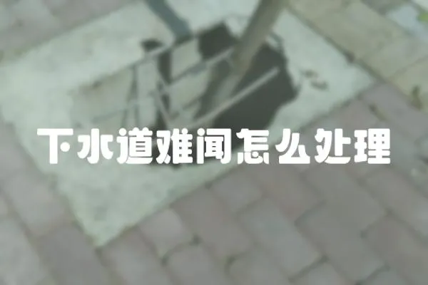 下水道難聞怎么處理