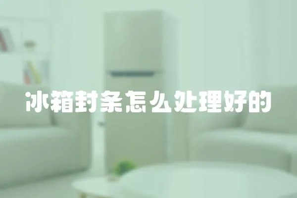 冰箱封條怎么處理好的