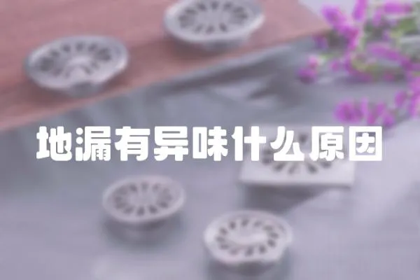 地漏有異味什么原因