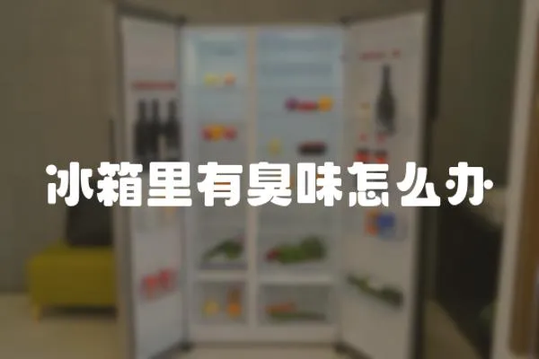 冰箱里有臭味怎么辦