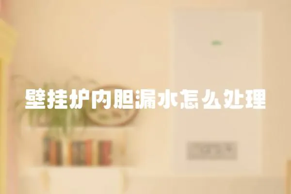 壁掛爐內膽漏水怎么處理