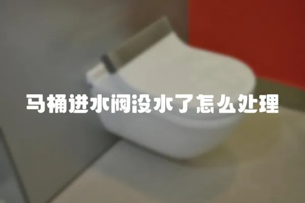 馬桶進水閥沒水了怎么處理