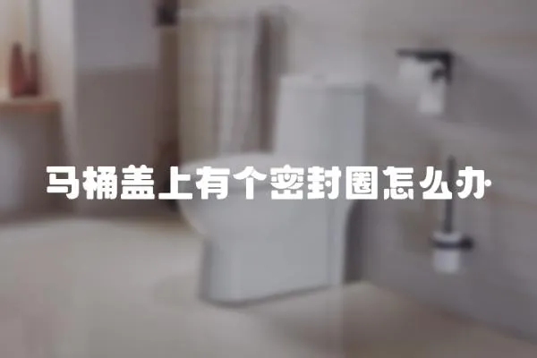 馬桶蓋上有個密封圈怎么辦