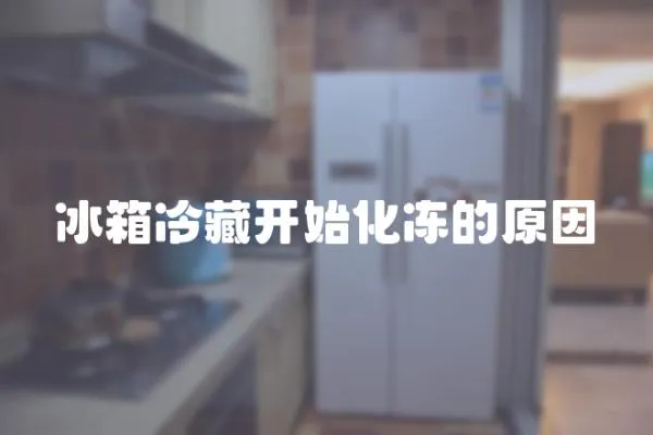 冰箱冷藏開始化凍的原因