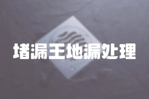 堵漏王地漏處理