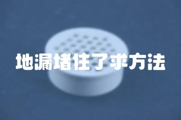 地漏堵住了求方法