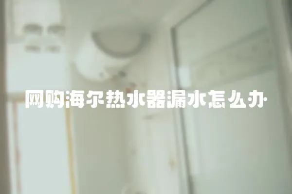 网购海尔热水器漏水怎么办