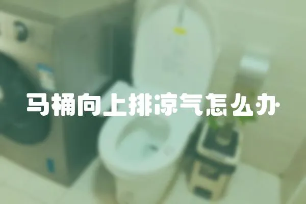 馬桶向上排涼氣怎么辦