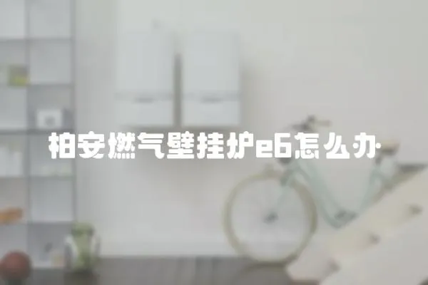 柏安燃氣壁掛爐e6怎么辦