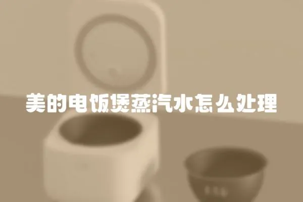 美的電飯煲蒸汽水怎么處理