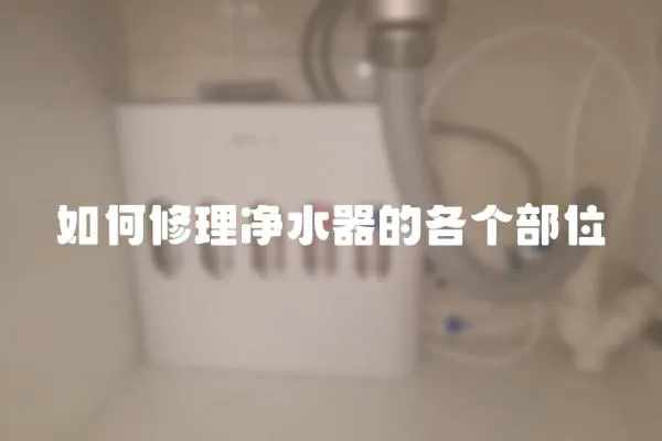 如何修理净水器的各个部位