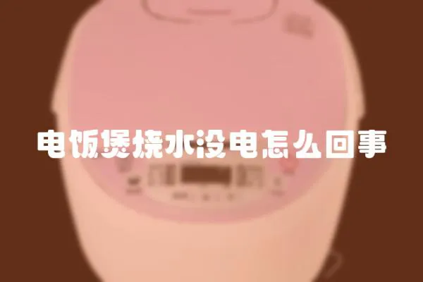 電飯煲燒水沒電怎么回事