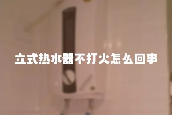 立式熱水器不打火怎么回事