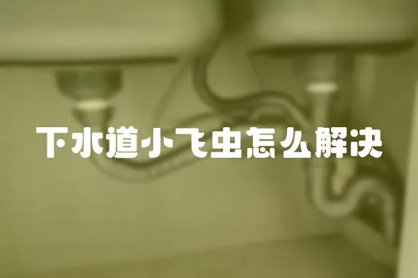 下水道小飛蟲怎么解決
