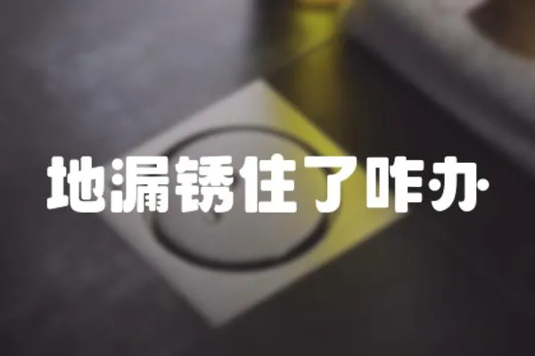 地漏銹住了咋辦