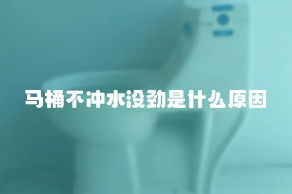 馬桶不沖水沒勁是什么原因