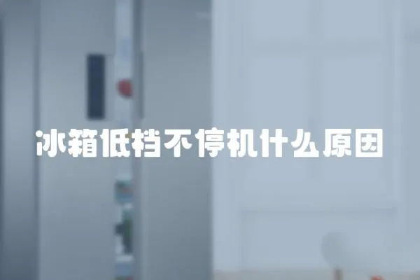 冰箱低檔不停機什么原因