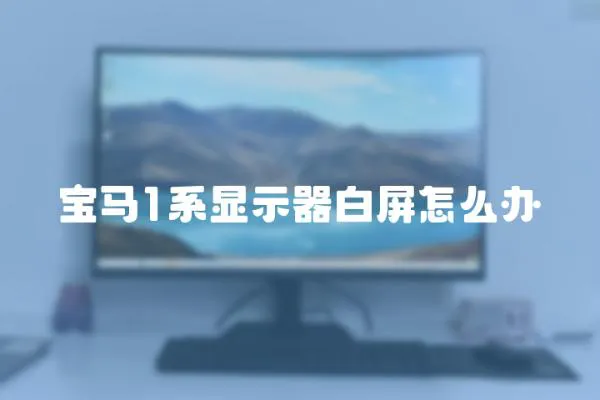 寶馬1系顯示器白屏怎么辦