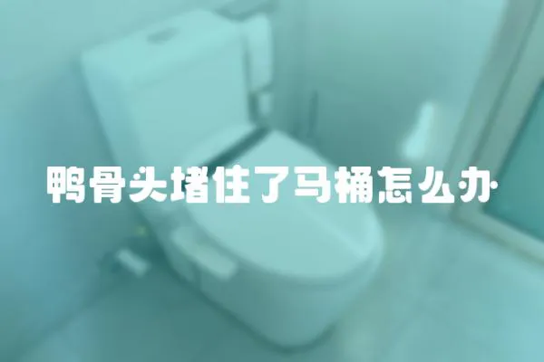 鴨骨頭堵住了馬桶怎么辦