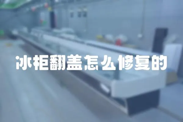 冰柜翻蓋怎么修復(fù)的