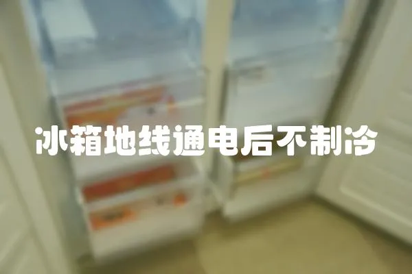 冰箱地線通電后不制冷