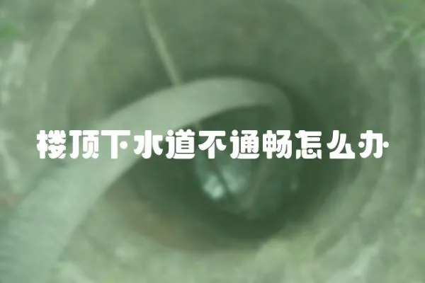 樓頂下水道不通暢怎么辦