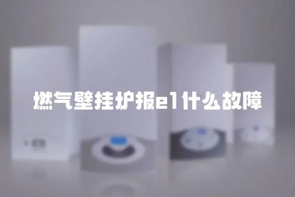 燃氣壁掛爐報e1什么故障