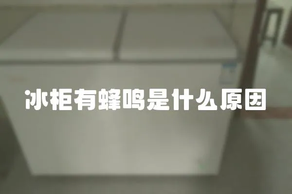 冰柜有蜂鳴是什么原因