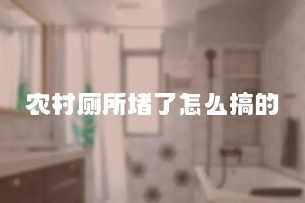 農村廁所堵了怎么搞的