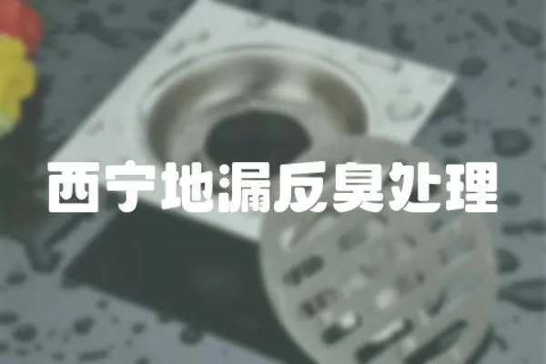 西寧地漏反臭處理